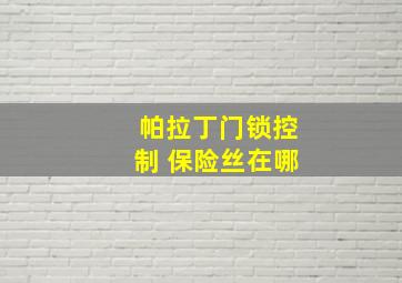 帕拉丁门锁控制 保险丝在哪